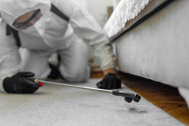 Professional Termite Control technician working in Rolla, ND