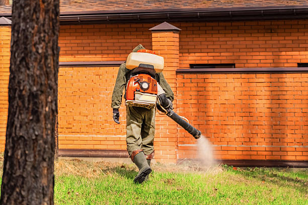 Top rated local Termite Control specialists in Rolla, ND
